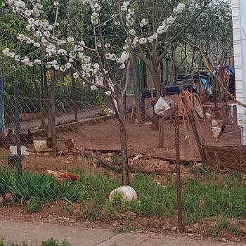 Eki aç