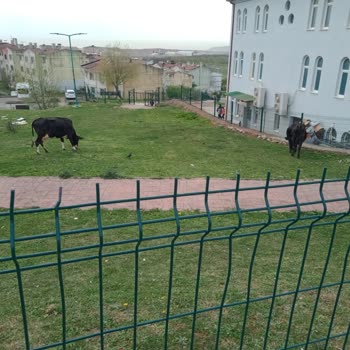 Eki aç