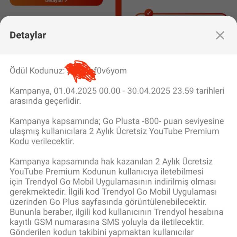 Trendyol GO'dan Gelen Youtube Premium Kodu Çalışmıyor
