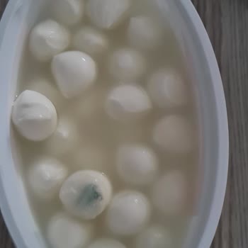 Bahçıvan Son Kullanma Tarihi Geçmemiş Peynir Bozuk Çıktı!