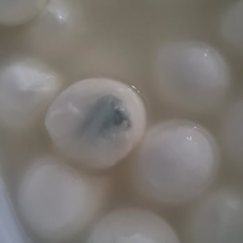 Bahçıvan Son Kullanma Tarihi Geçmemiş Peynir Bozuk Çıktı!