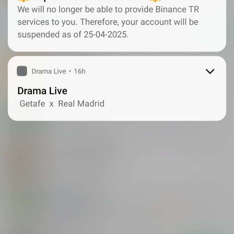 Binance Blocked My Account - I Cannot Transfer My USDT Despite Verification