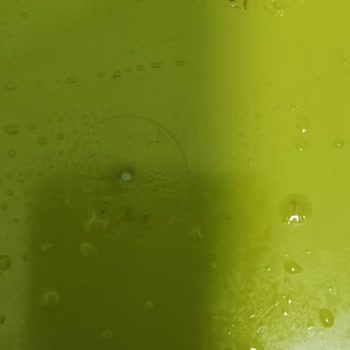 Tupperware 5 Litrelik Kap Kısa Sürede Kırıldı