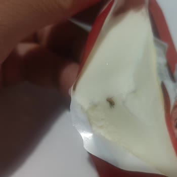 Dondurmanın İçinden Sinek Çıktı, Firma Sözünü Tutmadı