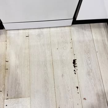 Arçelik Bulaşık Makinesi Arızası Sonrası Mağduriyetim Giderilmiyor