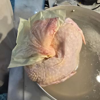 Banvit Bütün Tavukta Yabancı Cisim Çıkması Ve Açıklama Beklentisi