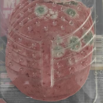 Küflü Ürün Ve İlgisiz Müşteri Hizmeti Hayal Kırıklığı Yarattı