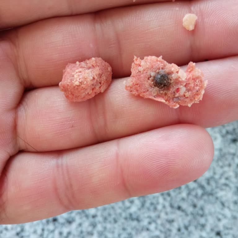 Torku Sucukta Anlaşılmaz Siyah Parçalarla Karşılaştım