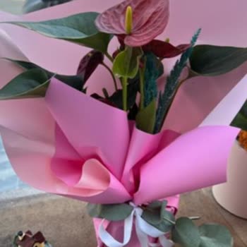 Taze Çiçek Sitesindeki Yanıltıcı Görsel Yüzünden Yanlış Ürün Geldi