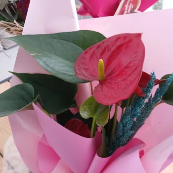 Taze Çiçek Sitesindeki Yanıltıcı Görsel Yüzünden Yanlış Ürün Geldi