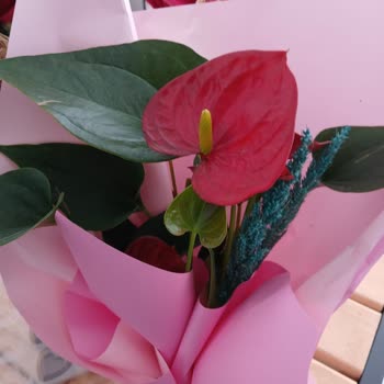 Taze Çiçek Sitesindeki Yanıltıcı Görsel Yüzünden Yanlış Ürün Geldi