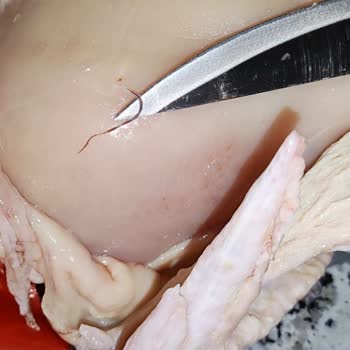 Aldığım Tavukta Parazit Şoku: Sağlığımız Tehlikede!