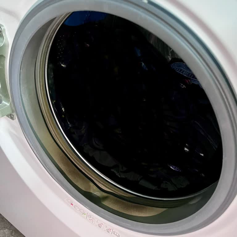 Bir Yıllık Çamaşır Makinesinde Lastik Sorunu Ve Garanti Kapsamı Hayal Kırıklığı