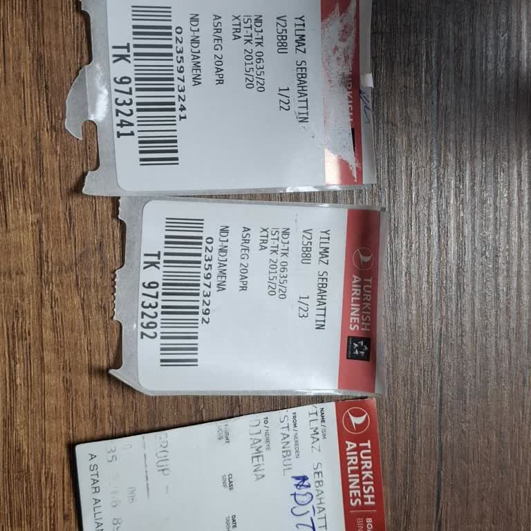 THY İle Kaybolan Bagajlarım Günlerdir Bulunamadı, Mağduriyetim Artıyor