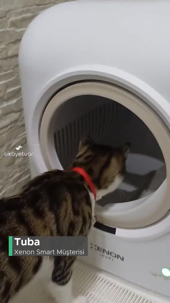 Xenon Smart Kedi Tuvaleti Şikayeti; Güvenliği Yok, Koku Jeli İşe Yaramıyor! videonun kapak resmi
