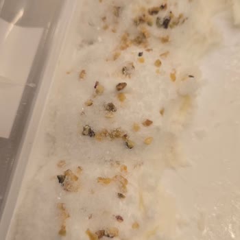 Aldığım Dondurma Buzlanmış Ve Şekerlenmiş Tatlımızı Mahvetti