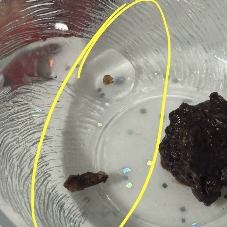 Torku Gofrette Tekrarlayan Sert Cisim Sorunu