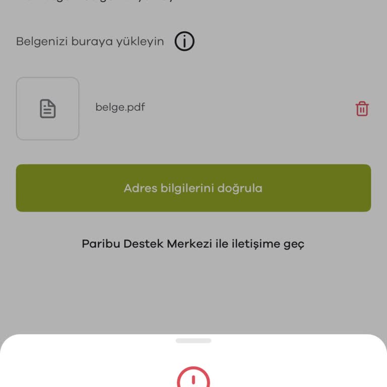 Hesap Onayında Son Aşamada Karşılaşılan Hata Ve Acil Destek Talebi