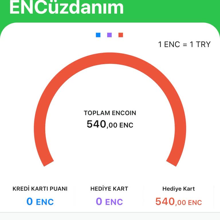 Bilet İptali Sonrası Ücretin Yanlışlıkla Encoin Olarak Yüklenmesi Ve İade Sorunu