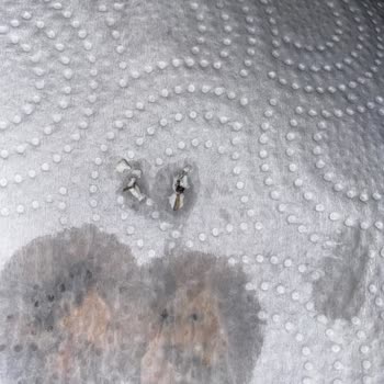 Dost Yoğurt İçinde Böcek Çıkması Ve Gıda Güvenliği Endişesi