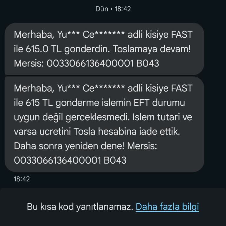 FAST İle Gönderilen Paranın Ne Papara'ya Ne De Tosla'ya Ulaşmaması