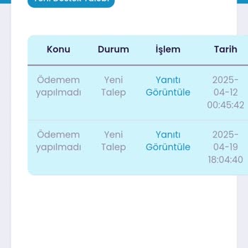 Mavi Anket Uygulamasında Ödeme Sorunu Ve Destek Eksikliği