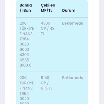Mavi Anket Uygulamasında Ödeme Sorunu Ve Destek Eksikliği