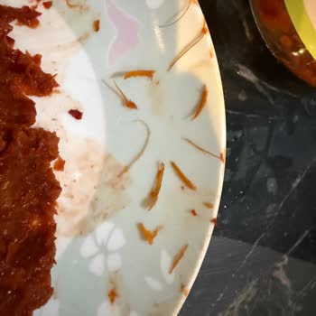 Bebek Yemeğinde Kullandığım Salçadan Çıkan Yabancı Maddeler Endişe Yarattı