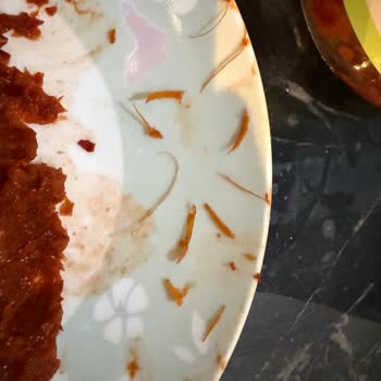 Bebek Yemeğinde Kullandığım Salçadan Çıkan Yabancı Maddeler Endişe Yarattı