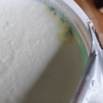 Son Kullanma Tarihi Geçmemiş Yoğurtta Küf Sorunu Ve Mağduriyet