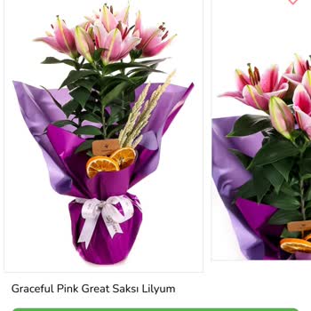 Taze Çiçek | Tazecicek.com Görselle Alakasız Solmuş Çiçekler Ve Yetersiz Müşteri Hizmeti