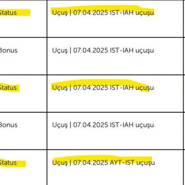 THY Mil Kazanımı Beklentisi Karşılanmadı, Eksik Mil Yatışı Sorunu