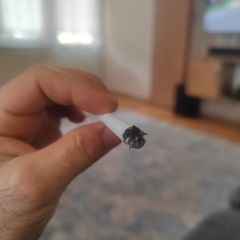 Sigara Kalitesi Düştü, İçinden Yabancı Maddeler Çıkıyor