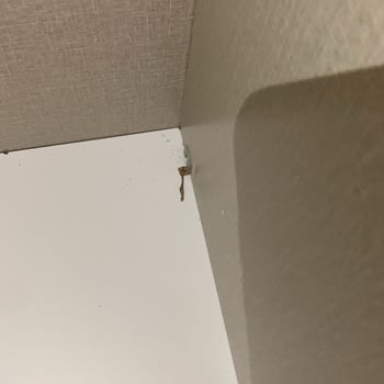 Kırık Dolap Parçaları Ve Yetersiz Müşteri Hizmeti Nedeniyle Mağduriyet