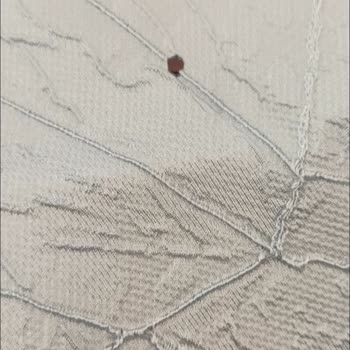 İade Süreci Ve Ürün Kalitesi Hayal Kırıklığı Yarattı