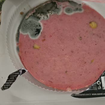 Son Kullanma Tarihi Geçmemiş Salamda Küf Ve Bozulma Şoku