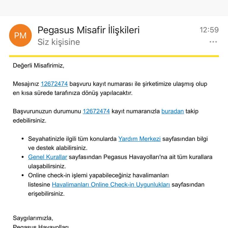 Ücretsiz Bilet Vaadi Yerine Hayal Kırıklığı: Pegasus'un Tutarsız Uygulamaları
