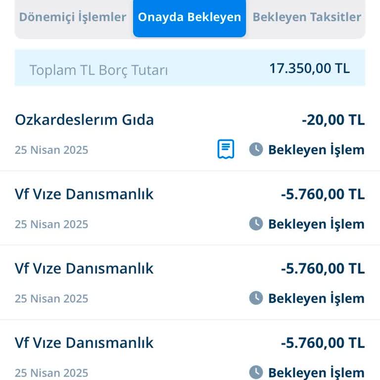 VFS Globalda Ödeme Alınan Randevu Reddedildi Oğlumun İşlemi Belirsiz Kaldı