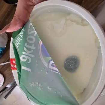 A101'den Aldığım Ürünler Küflü Ve Bozuk Çıktı Sağlığım Tehlikeye Girdi