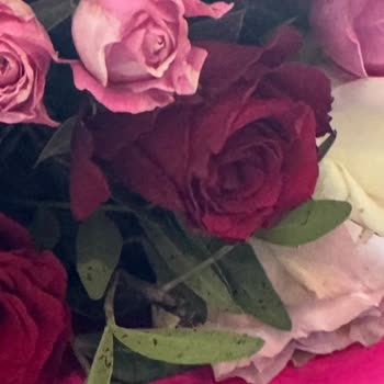 Sipariş Edilen Ve Teslim Edilen Çiçekler Arasındaki Fark İle Kurye Davranışı