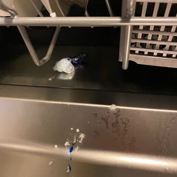 Bosch Bulaşık Makinesi Arızası Ve Yetersiz Servis Sonrası Değişim Talebi