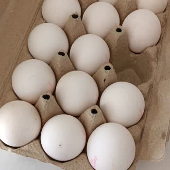 A101 Eksik Ve Ambalajsız Yumurta Satışı Hakkında Şikayet