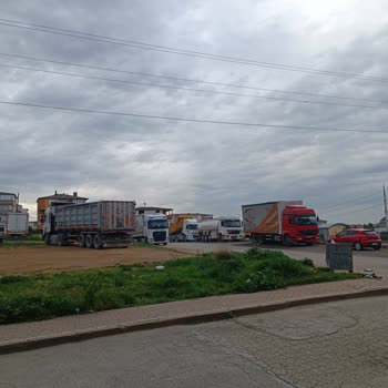 Kocaeli Büyükşehir Belediyesi Gece Gürültüsü Ve Uygunsuz Araç Parkı Mağduriyeti