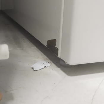 Bosch Çamaşır Makinesinde Erken Paslanma Ve Yetersiz Servis Desteği