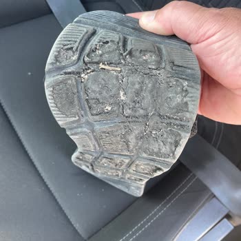 Skechers Ayakkabı Tabanı Kısa Sürede Yırtıldı, Firma İlgisiz Kaldı