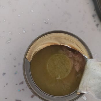 Aldığım Ton Balıkları Yenmeyecek Durumda Çıktı