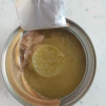 Aldığım Ton Balıkları Yenmeyecek Durumda Çıktı