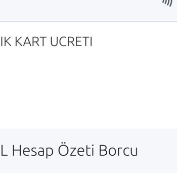 Yapı Kredi World Business Kartıma Haksız Yıllık Aidat Kesintisi Ve İade Talebim