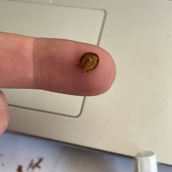 Ürün İçeriğinden Yabancı Maddeler Çıkması Ve Memnuniyetsizlik