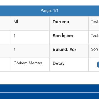 Teslim Edilmeyen Kargo Ve Yetersiz Bilgilendirme Nedeniyle Mağduriyet